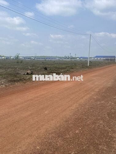 Tách 5 sào, bán lẻ 1 sào 410tr -> bank htro 60%. Cụm Công nghiệp 300m