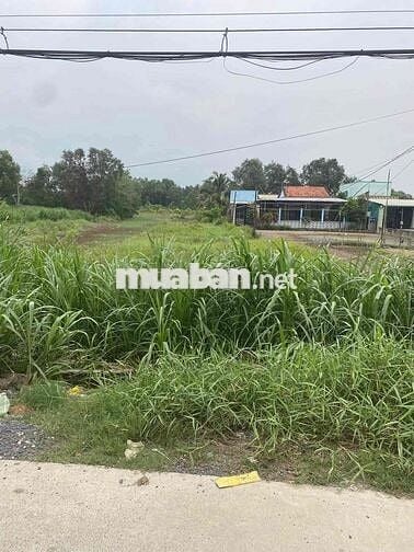 chính chủ cần bán đất mặt tiền đường T12 Bình Chánh