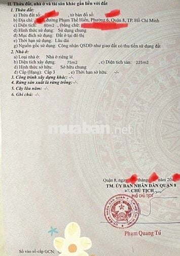 Bán nhà mặt tiền Phạm Thế Hiển,p6, Cầu Bà Tàng kinh doanh tốt 5x16m