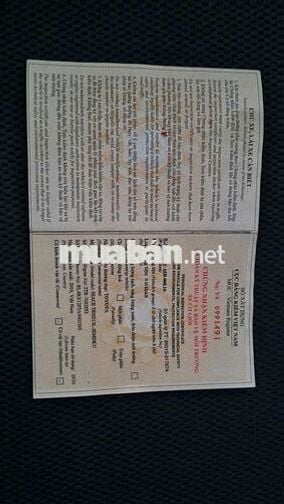 Toyota Hiace 2010 16 chỗ Bạc