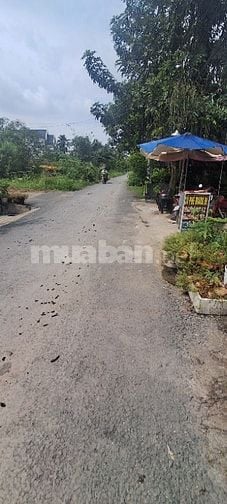 BÁN GẤP MIẾNG ĐẤT THỔ MT ĐƯỜNG T6 XÃ HƯNG LONG BÌNH CHÁNH