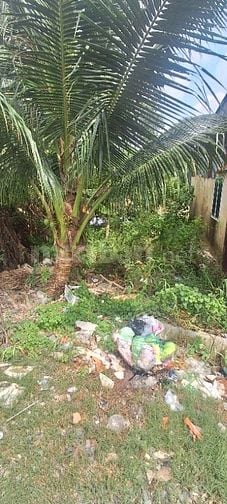 BÁN GẤP MIẾNG ĐẤT THỔ MT ĐƯỜNG T6 XÃ HƯNG LONG BÌNH CHÁNH