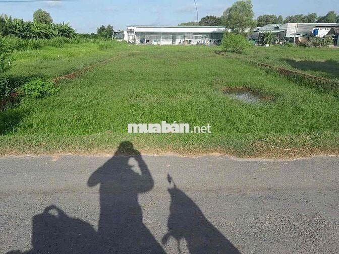 CẦN BÁN 11m MẶT TIỀN NHỰA XÃ ĐỨC LẬP HẠ