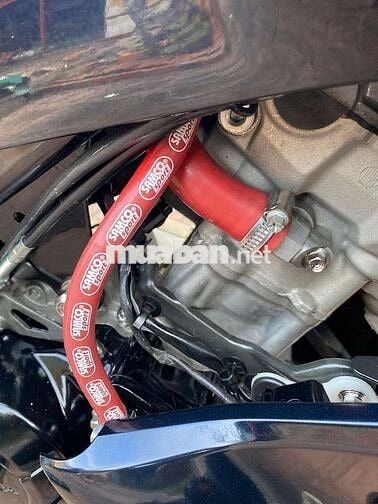 WINNER V2 CBS 2020 Máy Zin đồ kiểng đẹp