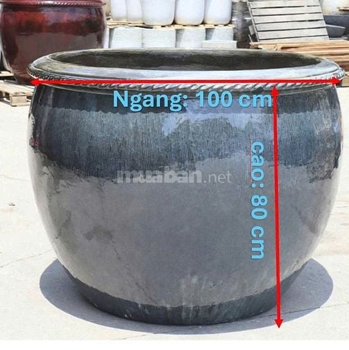 chậu hoa trồng mai hoặc bon sai