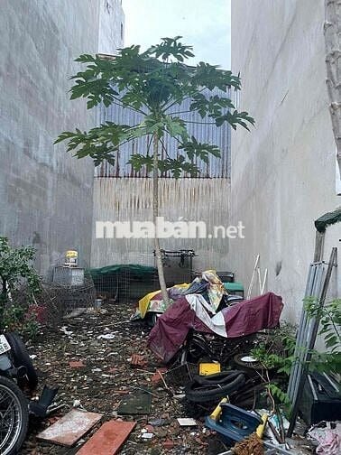 🌹BÁN ĐẤT (4,6 X 11) THỔ CƯ-SỔ VUÔNG A4-KHU ĐỒNG BỘ HẺM TRƯỚC NHÀ 4,8M