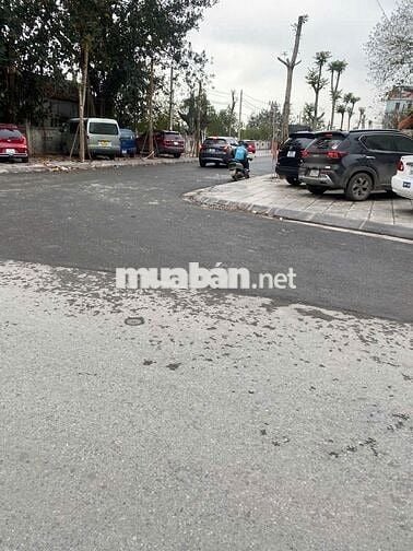 Bán đất Phố Ngô Gia Tự, gần cầu Đuống, 30m2, 4.5 tỷ, sổ đẹp, giá h.iếm