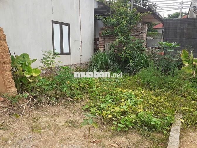 Bán nhanh lô đất tại Sơn Tây - Hà Nội có thương lượng