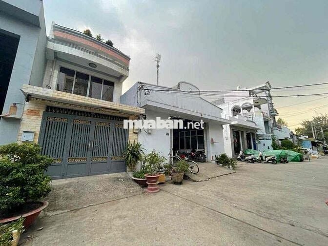 🌺Cho thuê kho 2 MT đg Nguyễn quý yêm - An lạc . DT : 8m*20m. Giá 20 tr