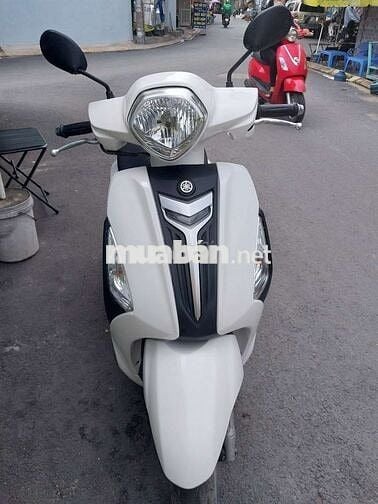 Grande fi zin bstp chứng giấy