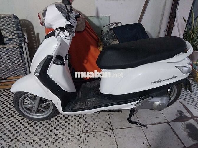 Grande fi zin bstp chứng giấy