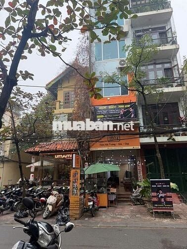 Chính chủ cho thuê cửa hàng KD - văn phòng 65m2, 13 triệu có TL