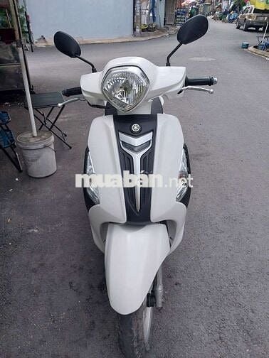 Grande fi zin bstp chứng giấy