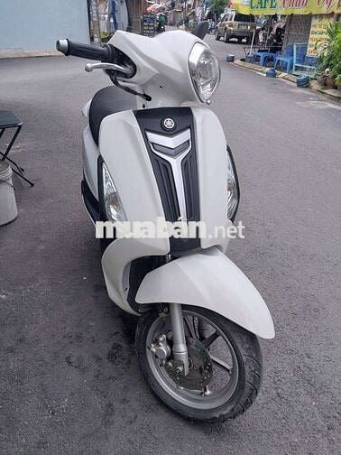 Grande fi zin bstp chứng giấy