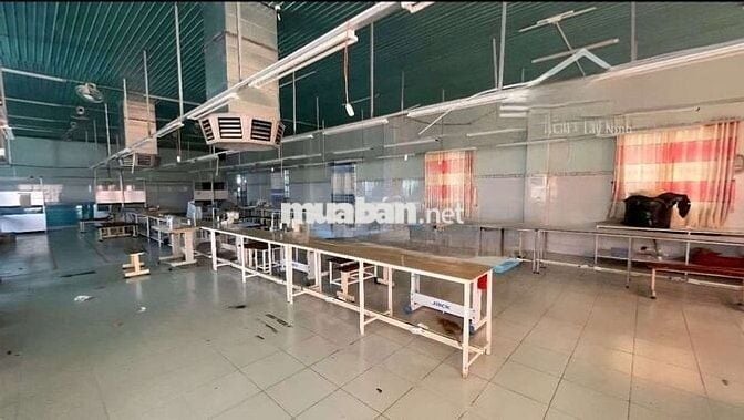 Cho thuê kho xưởng 1600m2 Tân Thới Hiệp, Q12, đường Container đi 24/24