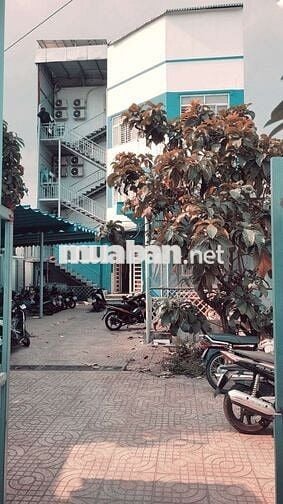 Cọc là lời, chốt là thu lúa, 252m², 4 tầng, mặt tiền đường, 22,9 tỷ.