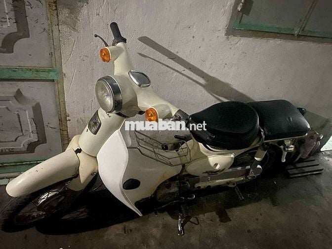 CUP 50CC Dành cho hoc sinh