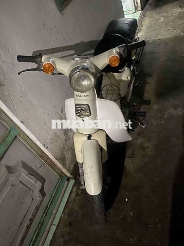 CUP 50CC Dành cho hoc sinh