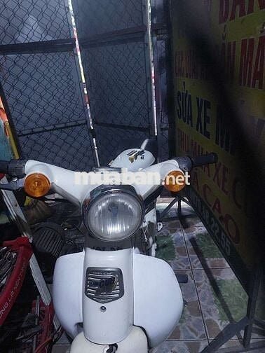 CUP 50CC Dành cho hoc sinh