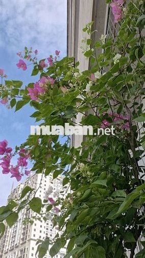 Bán căn hộ 103m2 full nội thất cao cấp