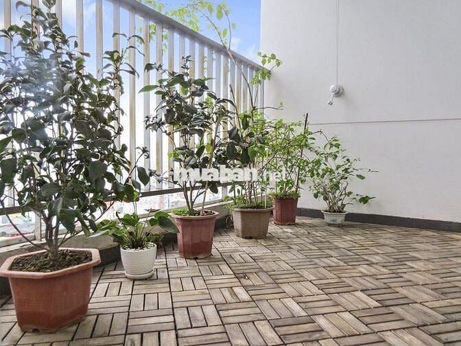 Nhà đẹp giá tốt Golden Palace - Mễ Trì 120m2 3PN giá 18tr/th đủ đồ đẹp