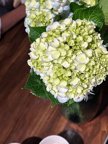 Việc làm bán thời gian - Tphcm