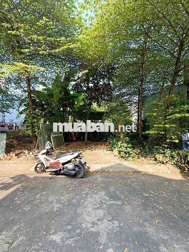 🆘CHÍNH CHỦ GỬI BÁN ĐẤT 5 x 19m ĐƯỜNG DƯƠNG CÔNG KHI XÃ XUÂN THỚI SƠN