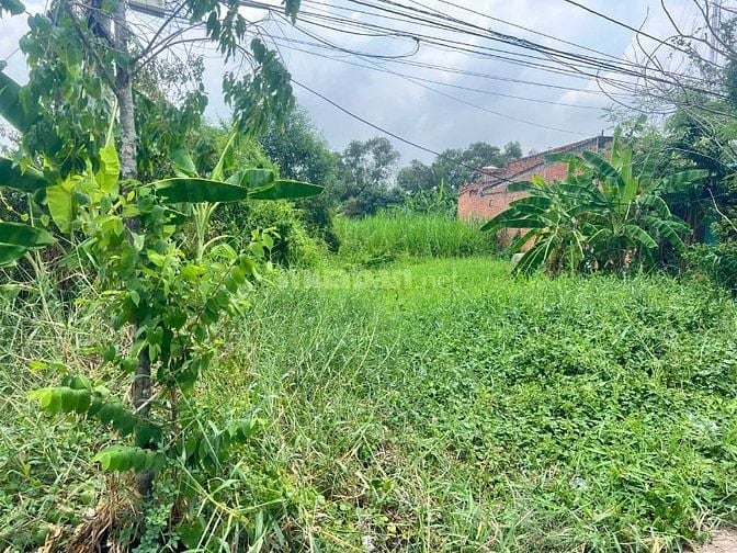 CC Bán lô đất MT Nguyễn Thị Hạnh, Xã Hậu Nghĩa, Đức Hoà 