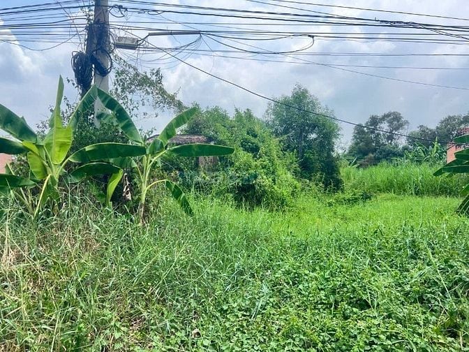 CC Bán lô đất MT Nguyễn Thị Hạnh, Xã Hậu Nghĩa, Đức Hoà 