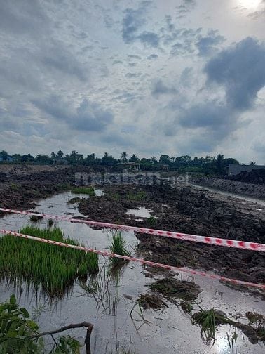 Bán đất Đường Huỳnh Văn Đảnh gần Đường Trục động lực 827E (QL50B)