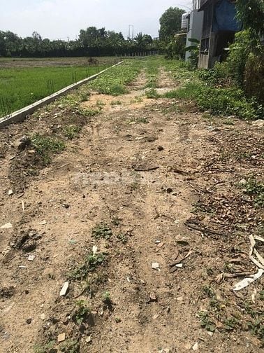 Bán 2400m2 đất Bình Chánh, Gần chợ Bình Chánh, 16 triệu/m2