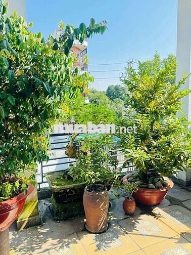 Nhà phố 4m Nở hậu 5,2m x 26m. 110m2 Mặt tiền Đường Hiệp Thành 35