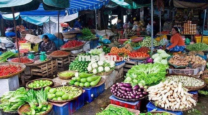 🌿CHỈ 690TR SỞ HỮU NGAY 258m² (HƠN 100m² THỔ CƯ) GẦN SÂN BAY LONG THÀNH