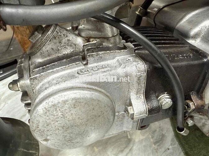 cúp 81/70 zin 99% chính chủ hàng hiếm có