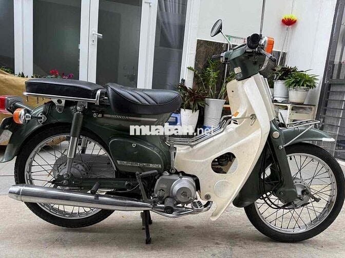 cúp 81/70 zin 99% chính chủ hàng hiếm có