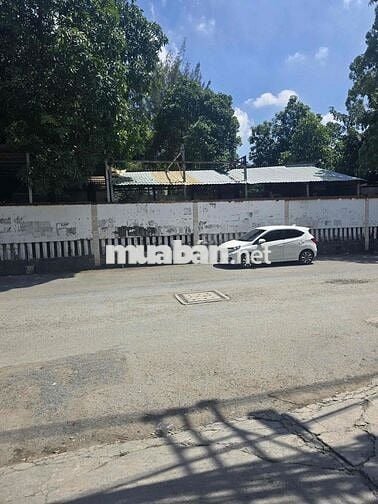 N.Quý Yêm sát MT, 4x16, 1lửng3PN, sổ hồng, hẻm10m, hướng Bắc, giá TL