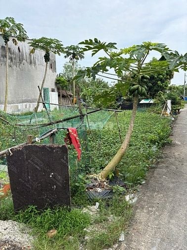 🏡 BÁN ĐẤT THỔ CƯ 9X23M, KHU DÂN CƯ HIỆN HỮU, Ô TÔ VÀO TẬN NƠI 🔥