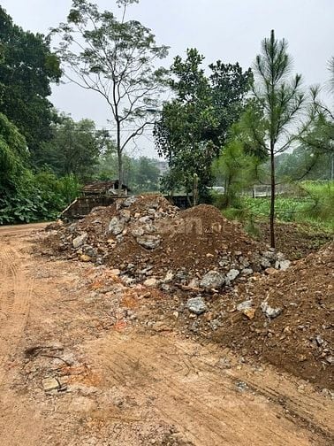 Đất biệt thự 600m2, phường Hà Nội, đường thông ô tô tránh, 15,5tr/m2