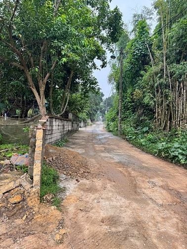 Đất biệt thự 600m2, phường Hà Nội, đường thông ô tô tránh, 15,5tr/m2