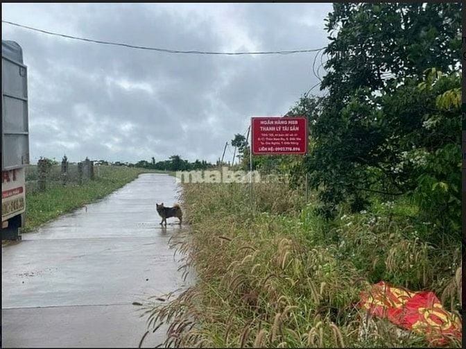 Bán đất tại Thôn Nam Rạ, xã Đắk Nia, tp Gia Nghĩa, tỉnh Đắk Nông