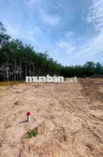 Bán đất sổ sẵn 500m2, sổ sẵn, ngay KCN Becamex, Chơn Thành, Bình Phước