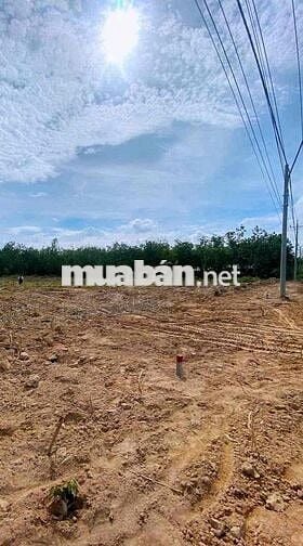 Bán đất sổ sẵn 500m2, sổ sẵn, ngay KCN Becamex, Chơn Thành, Bình Phước