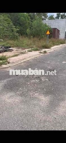 bán đất mặt tiền đường cầu Xe xã Lộc an ( xã Long thành)