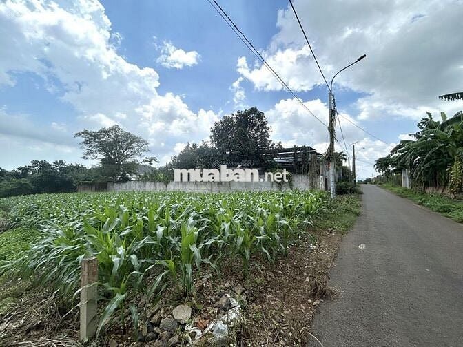 Em bán gấp giá rẻ lô đất chính chủ DT: 660m2 - 100tc