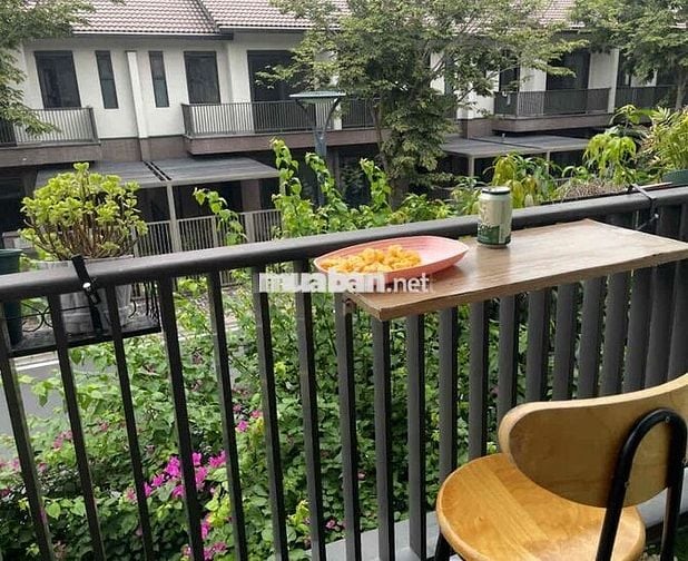 cho thuê nhà 115 met, 2-3 phòng ngủ nhà phố vườn