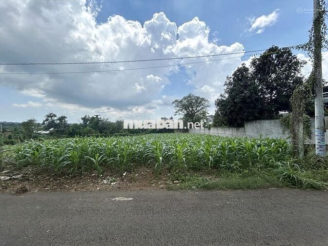Em bán gấp giá rẻ lô đất chính chủ DT: 660m2 - 100tc