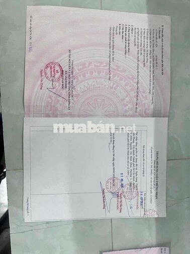 Cần bán căn nhà đôi tại long an chính chủ có sổ sạch sẽ 2 tỉ 750