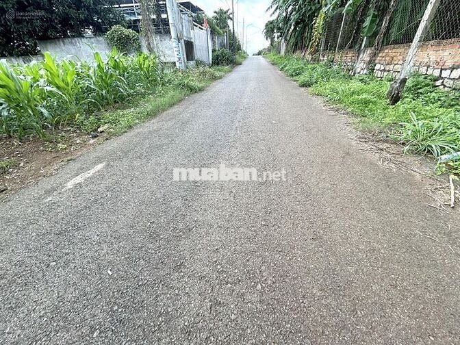 Em bán gấp giá rẻ lô đất chính chủ DT: 660m2 - 100tc