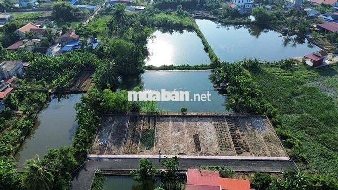 Bán Đất Mặt Đường Nhựa An Thọ An Lão 8xx triệu