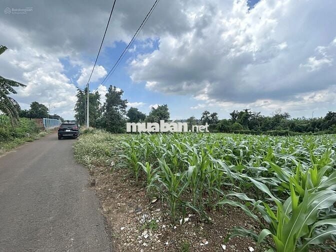 Em bán gấp giá rẻ lô đất chính chủ DT: 660m2 - 100tc